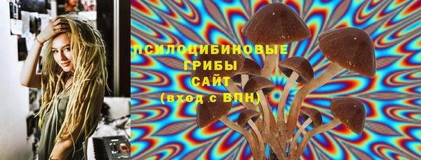 бошки Богданович